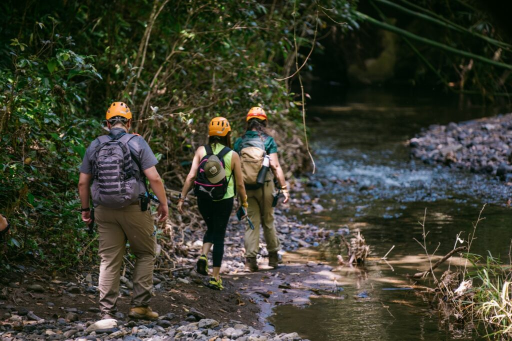 image_2025-12-10_230653311