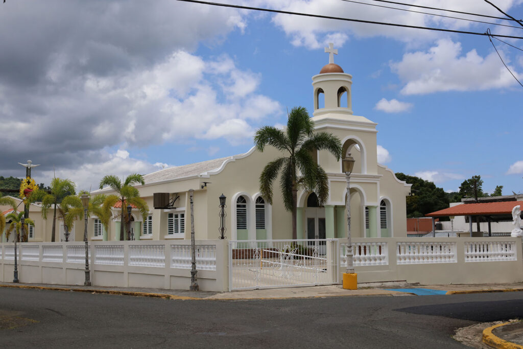 image_2025-12-10_230701708