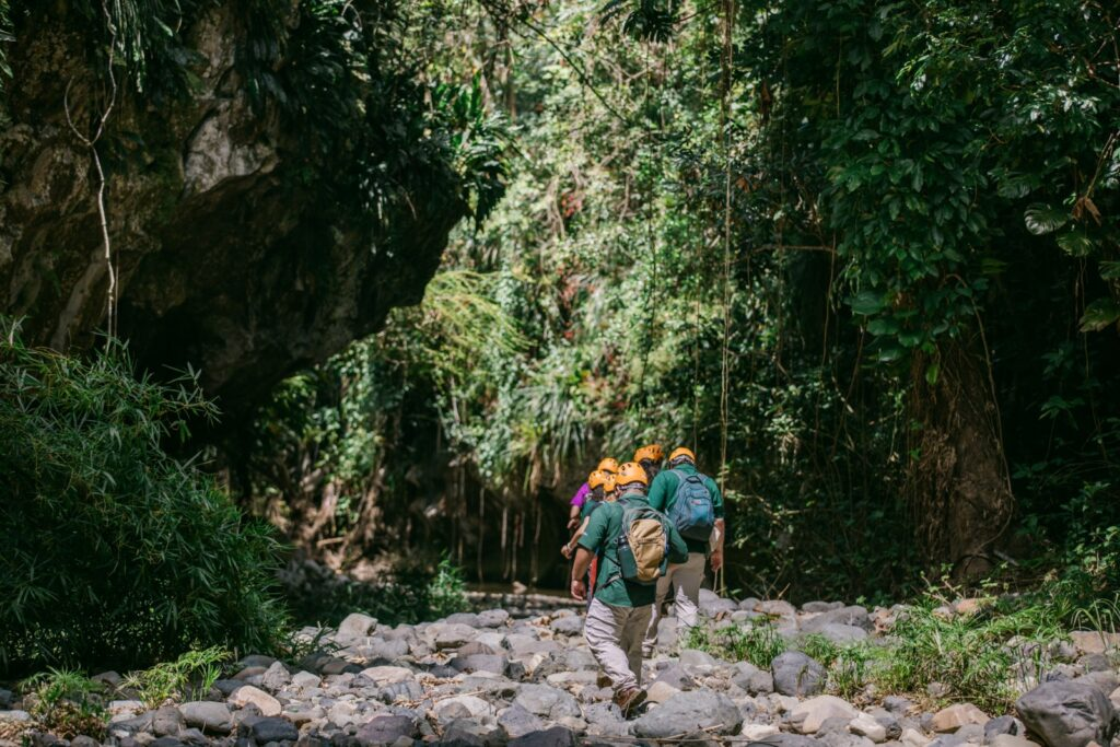 image_2025-12-10_230707821