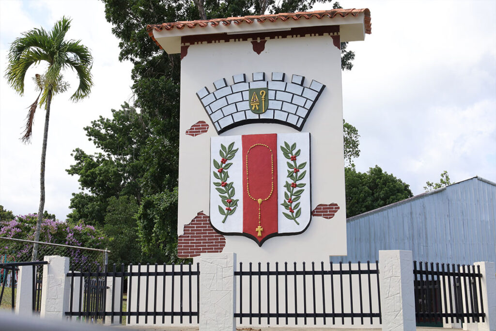 image_2025-12-10_230719659