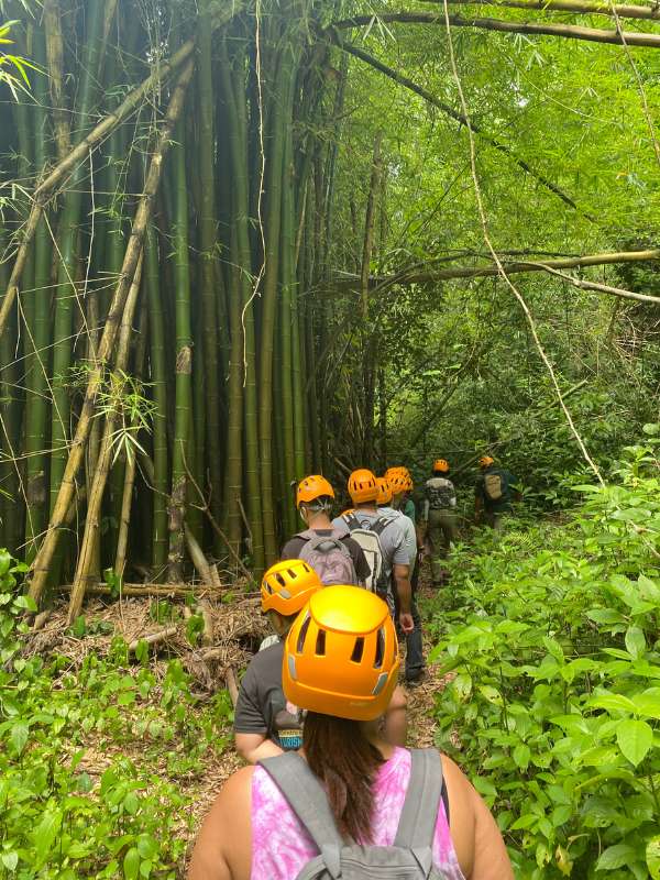 grupo-caminando-por-la-vereda-de-un-bosque.jpg Aventura Educativa en Rosario + Almuerzo incluido
