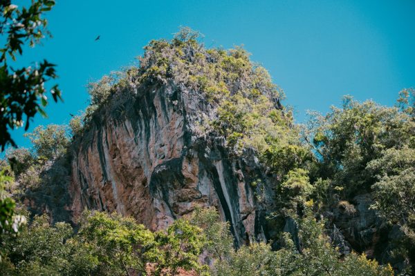 EcoAventura (pago el mismo día)