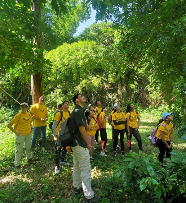 recorrido-bosque-puerto-rico.jpg Aventura Educativa en Rosario + Almuerzo incluido