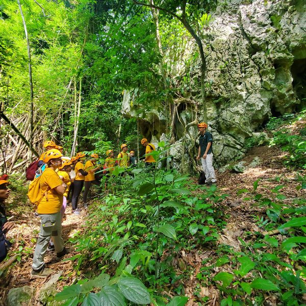 recorrido-cueva-puerto-rico.jpg Aventura Educativa en Rosario + Almuerzo incluido